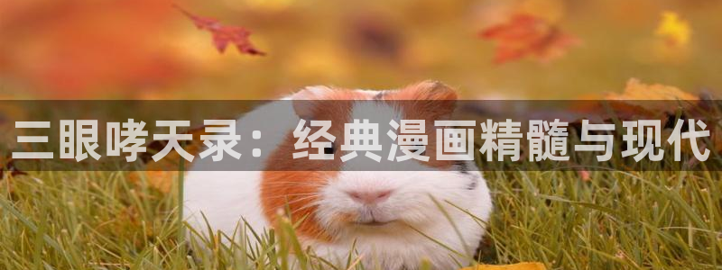 好用的包子漫画首页