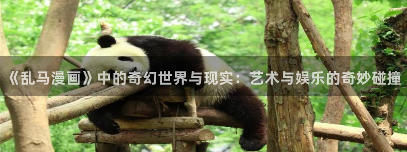 斗罗大陆漫画包子漫画：《乱马漫画》中的奇幻世界与现实：艺术与娱乐的奇妙碰撞