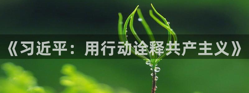 有包子漫画吗